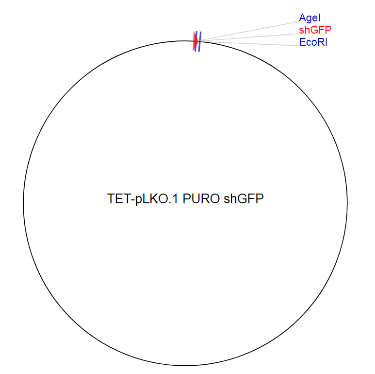 TET-pLKO.1 PURO shGFP质粒图谱